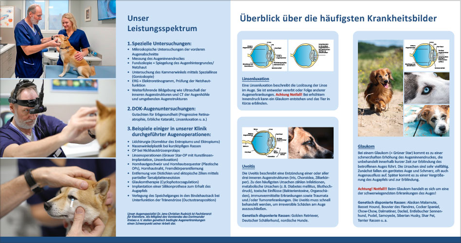 Flyer "Augenheilkunde" für die Tierklinik Rostock, innen